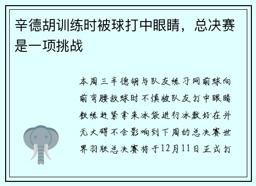 辛德胡训练时被球打中眼睛，总决赛是一项挑战