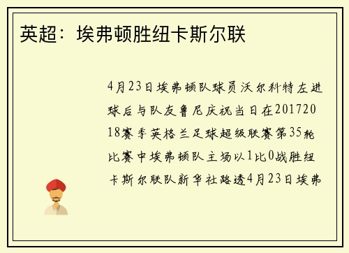 英超：埃弗顿胜纽卡斯尔联
