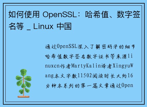 如何使用 OpenSSL：哈希值、数字签名等 _ Linux 中国