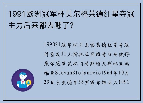 1991欧洲冠军杯贝尔格莱德红星夺冠主力后来都去哪了？